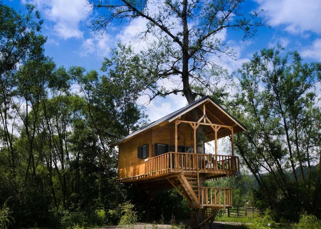 Villa Cuibul Vulturilor - Casuta In Copac Moisei Exterior foto